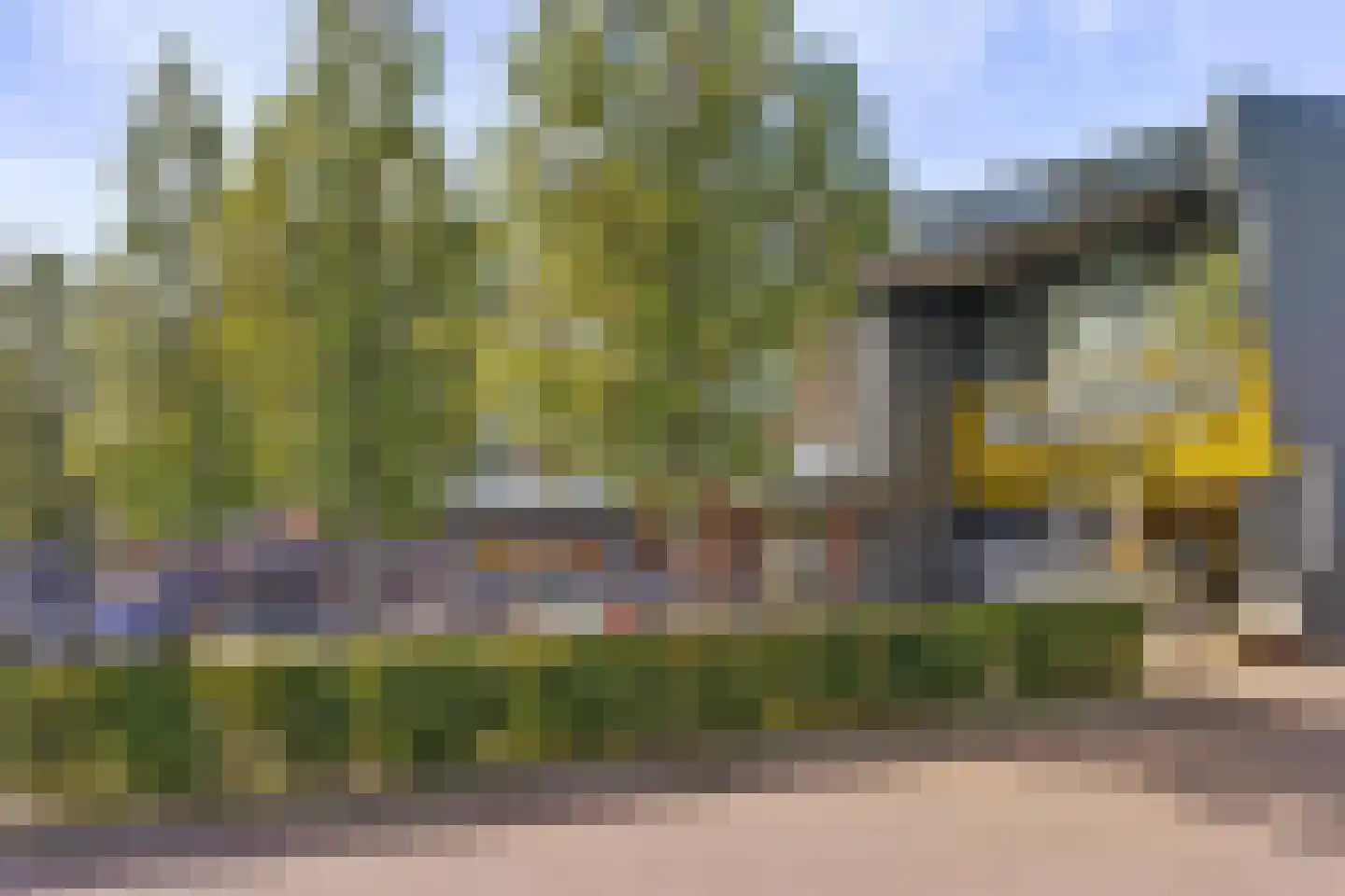 Randweg 10 Elst thumbnail 38