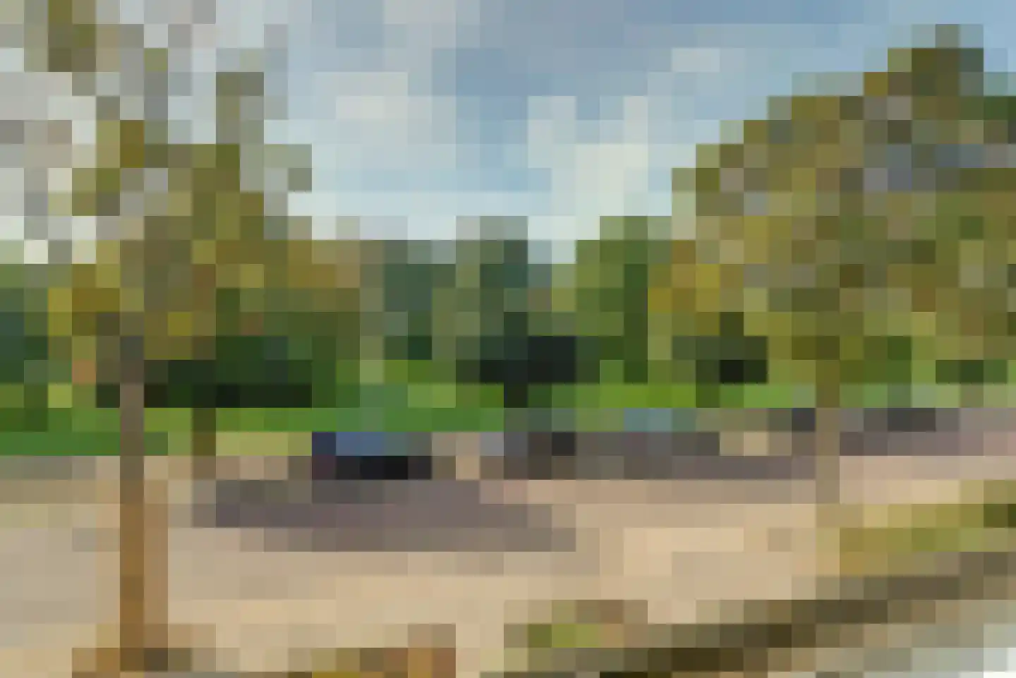Randweg 10 Elst thumbnail 5
