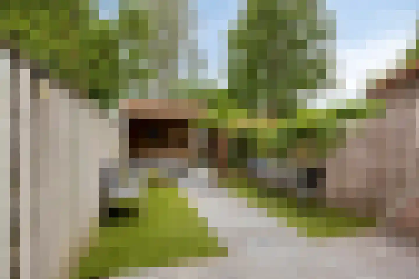 Randweg 101 Sint Anthonis thumbnail 20