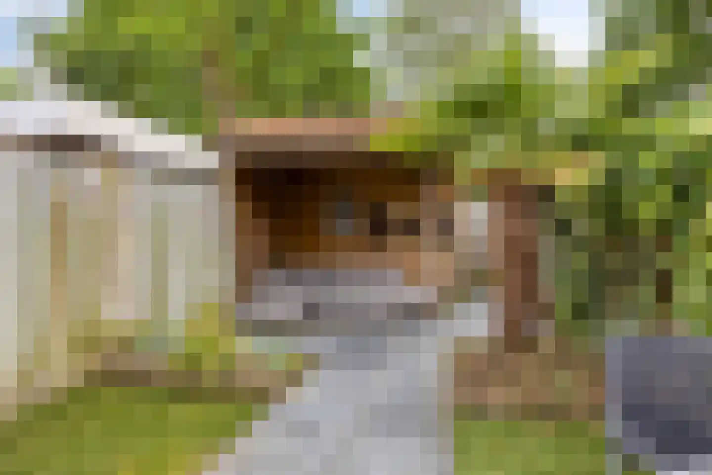 Randweg 101 Sint Anthonis thumbnail 21