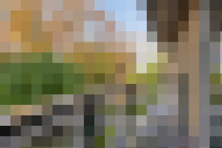 Randweg 102 Harderwijk thumbnail 41