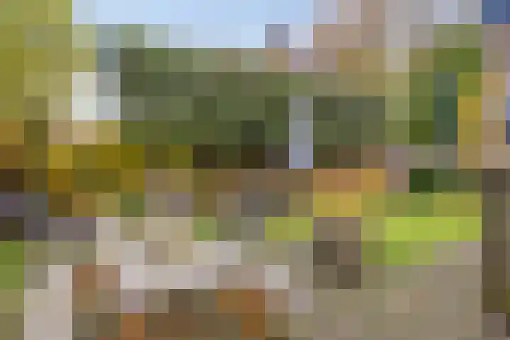 Randweg 102 Harderwijk thumbnail 48