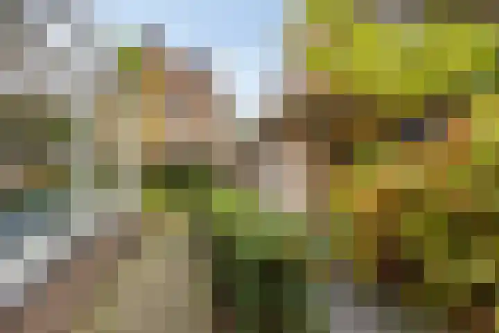 Randweg 102 Harderwijk thumbnail 50