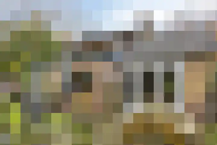Randweg 102 Harderwijk thumbnail 51