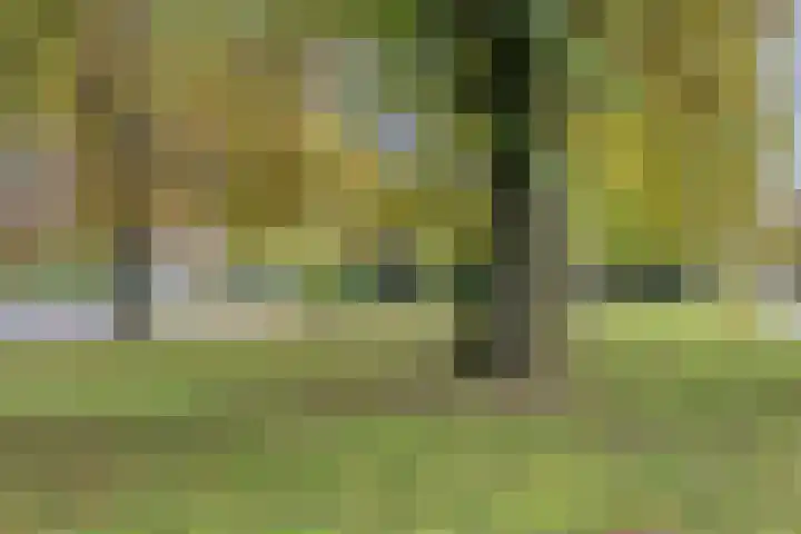 Randweg 102 Harderwijk thumbnail 55