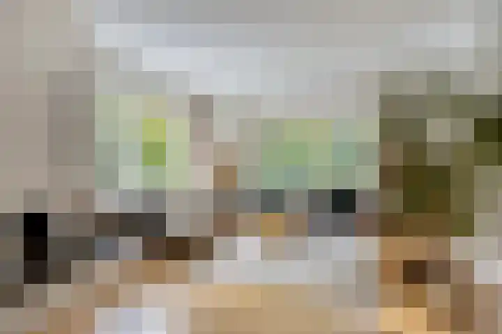 Randweg 102 Harderwijk thumbnail 8