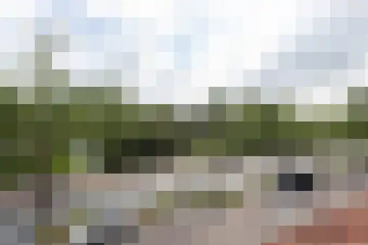 Randweg 109 Alblasserdam thumbnail 21