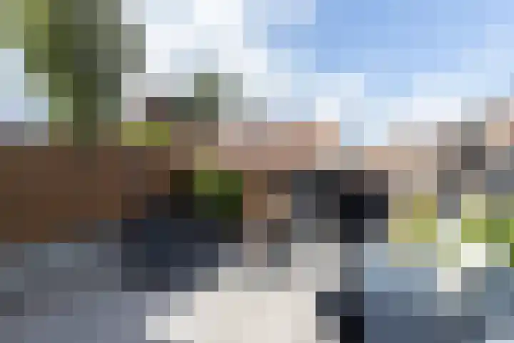 Randweg 109 Alblasserdam thumbnail 4