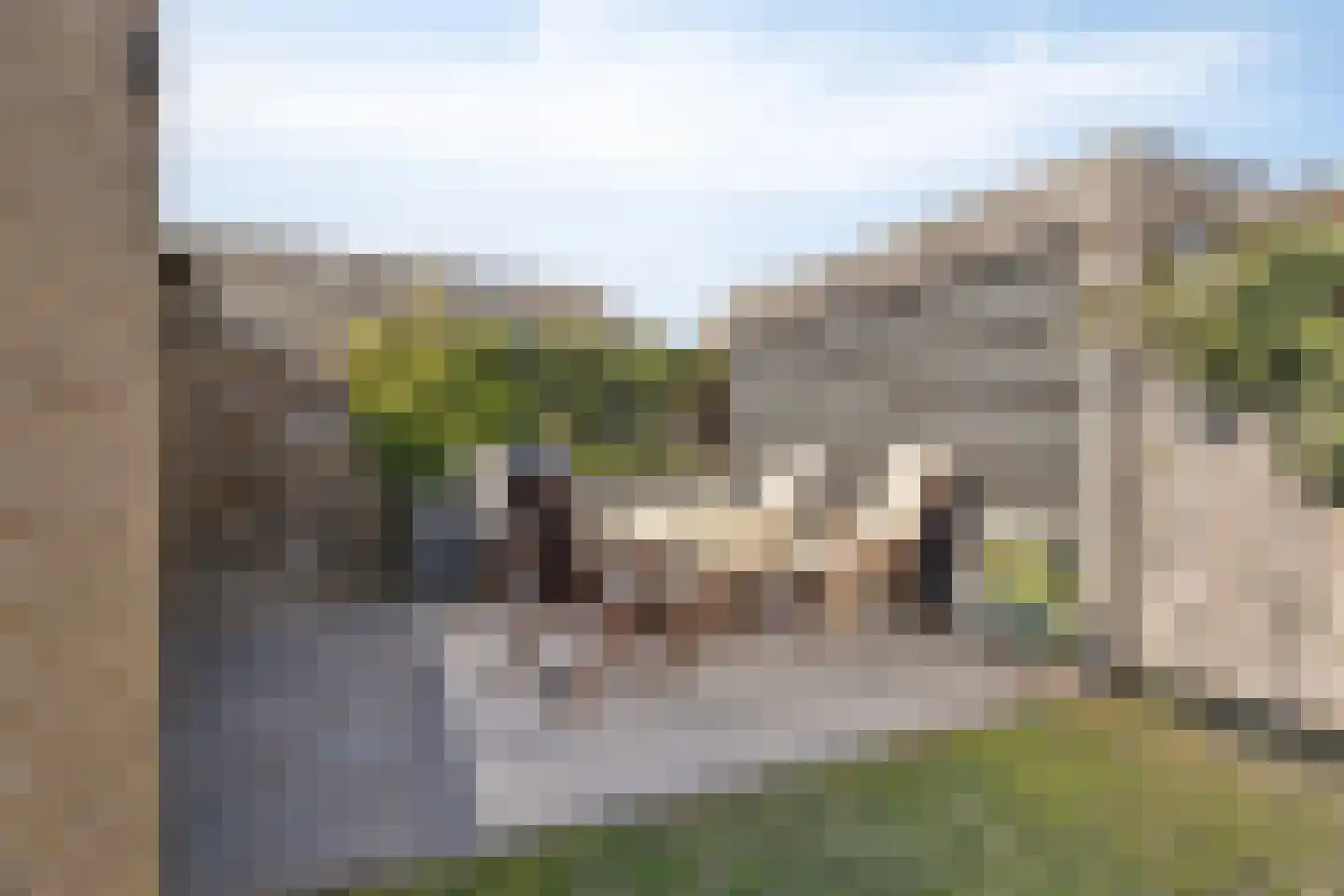 Randweg 12 Meppel thumbnail 30