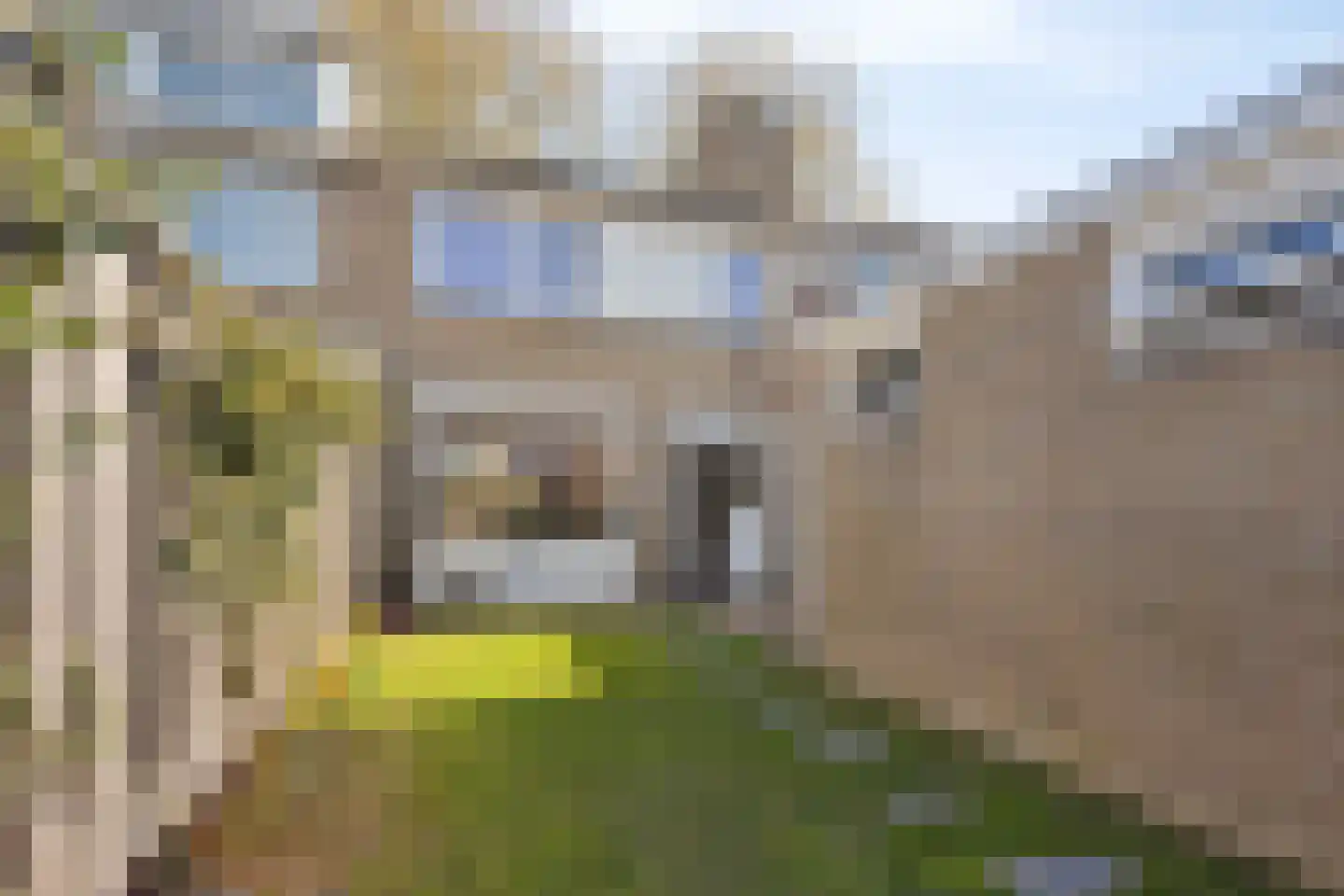 Randweg 12 Meppel thumbnail 31