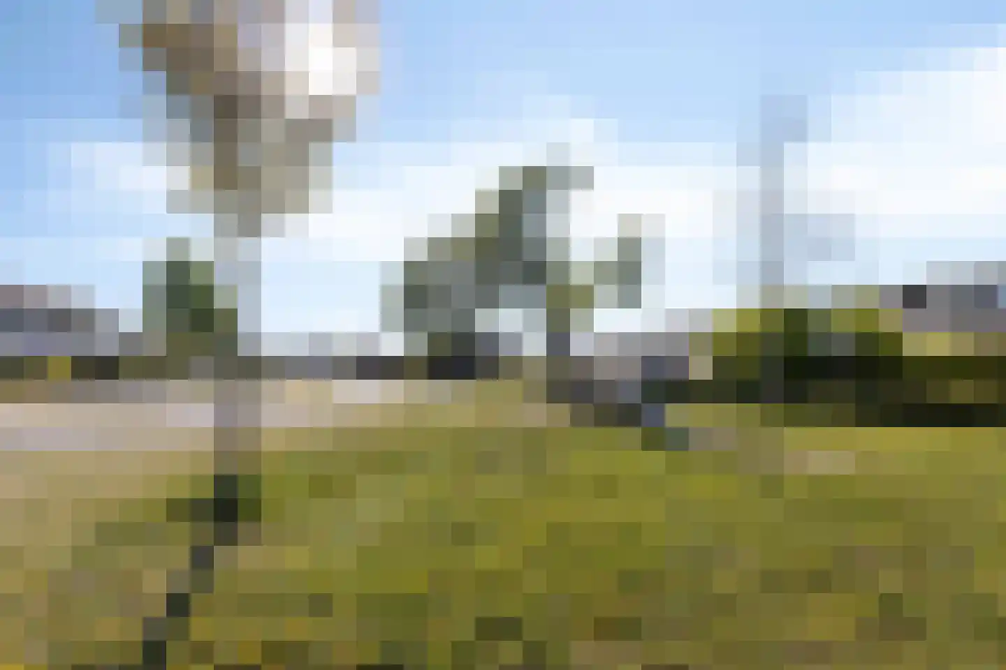 Randweg 12 Meppel thumbnail 33