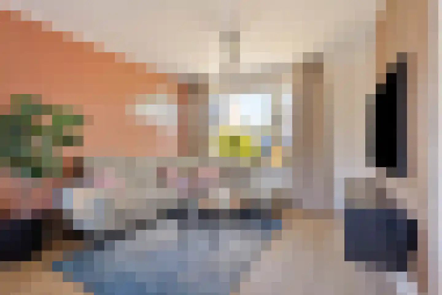 Randweg 12 Meppel thumbnail 6