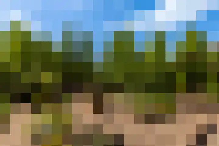 Randweg 122 Alblasserdam thumbnail 32