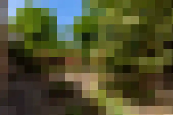 Randweg 122 Alblasserdam thumbnail 33