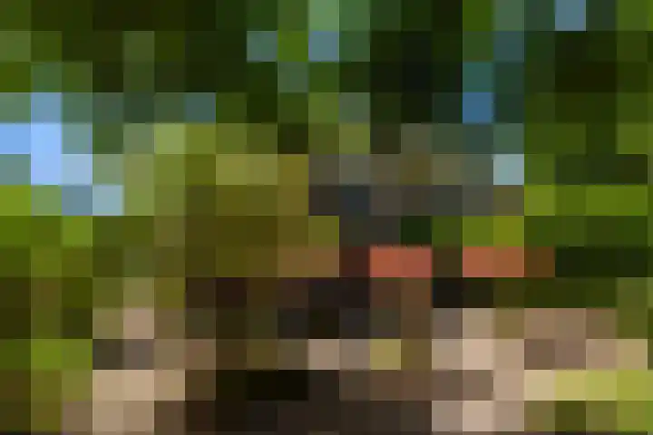 Randweg 122 Alblasserdam thumbnail 34