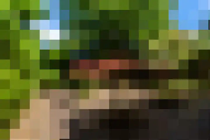 Randweg 122 Alblasserdam thumbnail 36