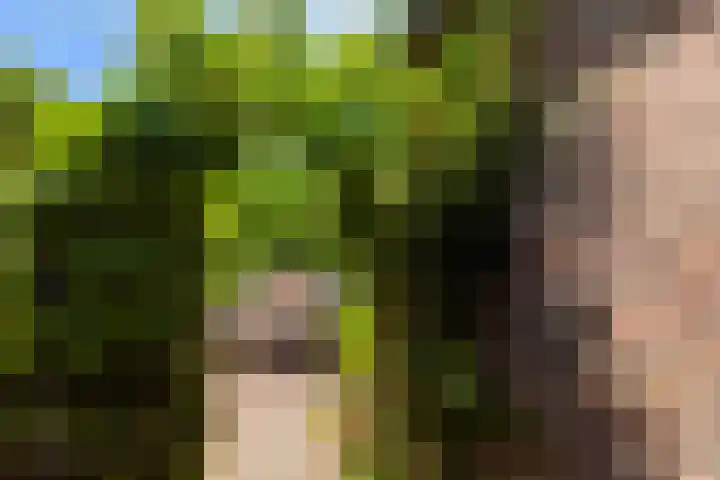 Randweg 122 Alblasserdam thumbnail 37