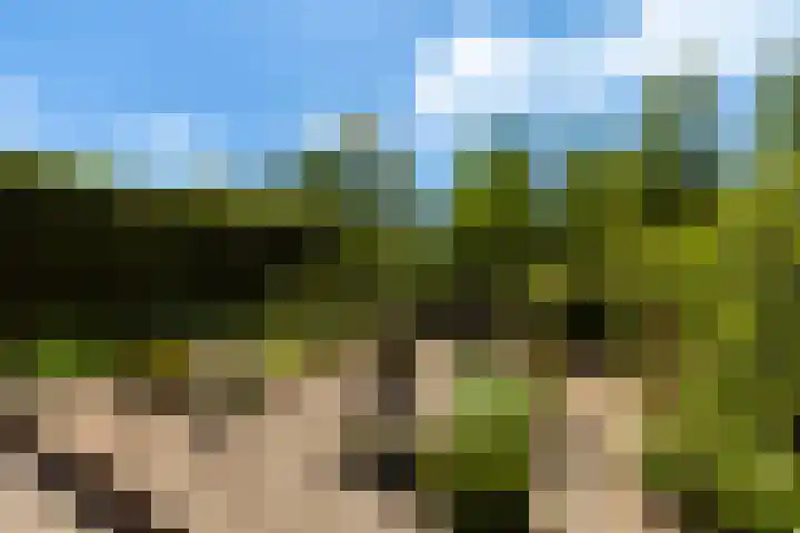 Randweg 122 Alblasserdam thumbnail 41