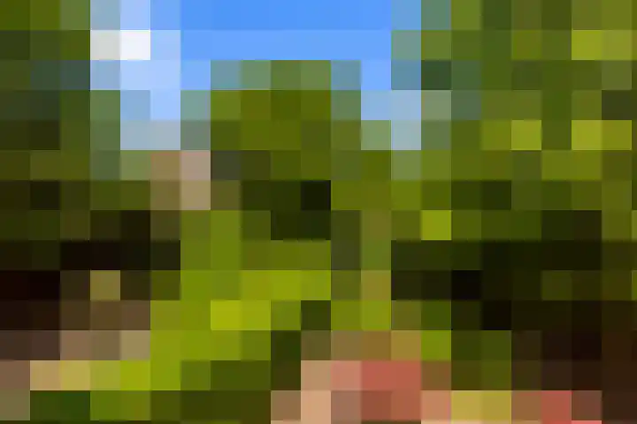 Randweg 122 Alblasserdam thumbnail 42