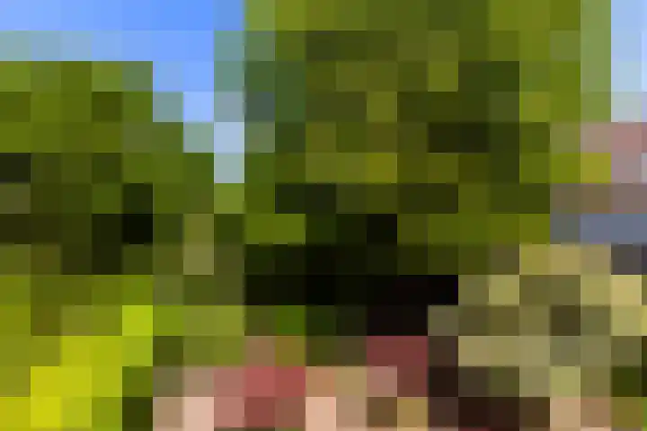 Randweg 122 Alblasserdam thumbnail 43