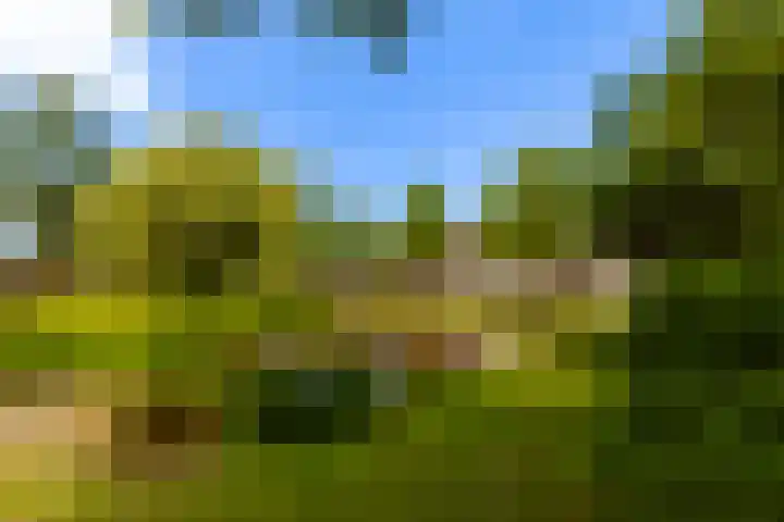Randweg 122 Alblasserdam thumbnail 45