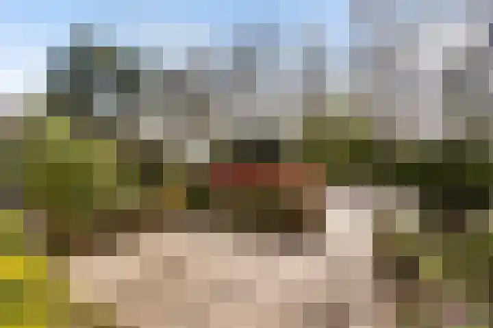 Randweg 143 Bussum thumbnail 28