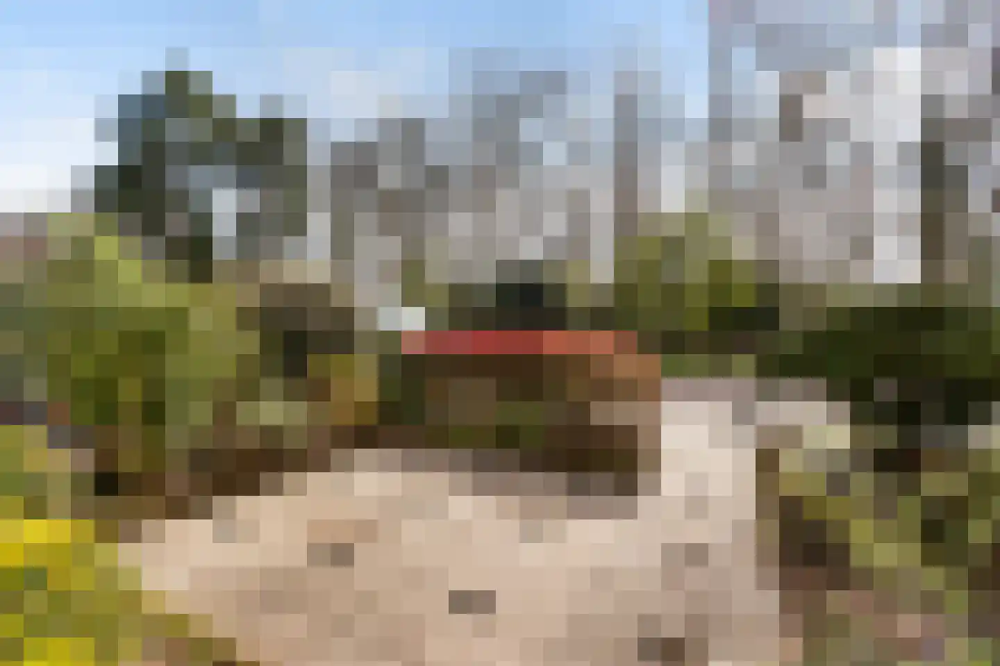 Randweg 143 Bussum thumbnail 28