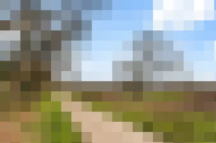Randweg 143 Bussum thumbnail 31