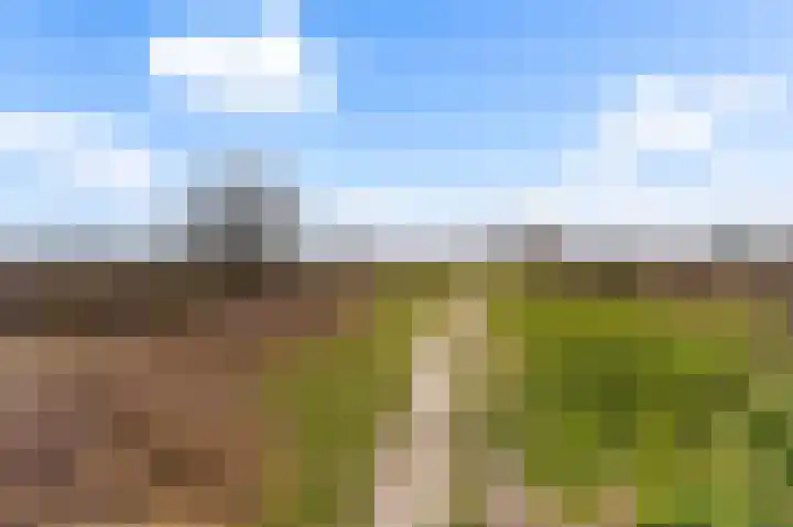 Randweg 143 Bussum thumbnail 32