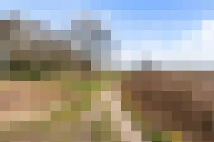 Randweg 143 Bussum thumbnail 33