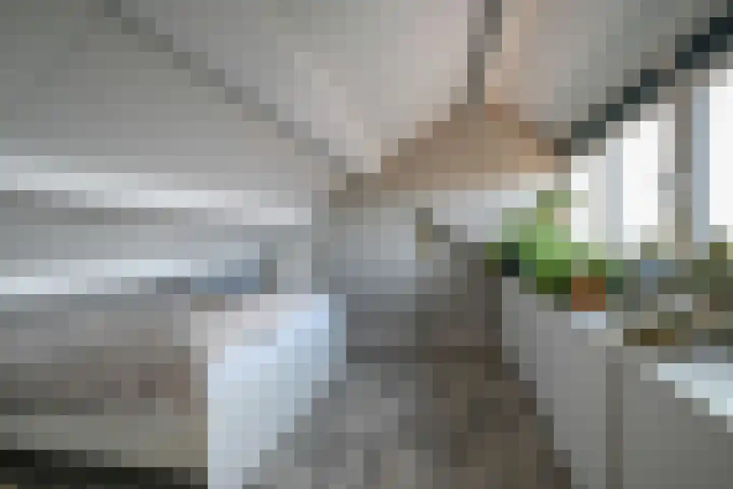 Randweg 145 Bussum thumbnail 22