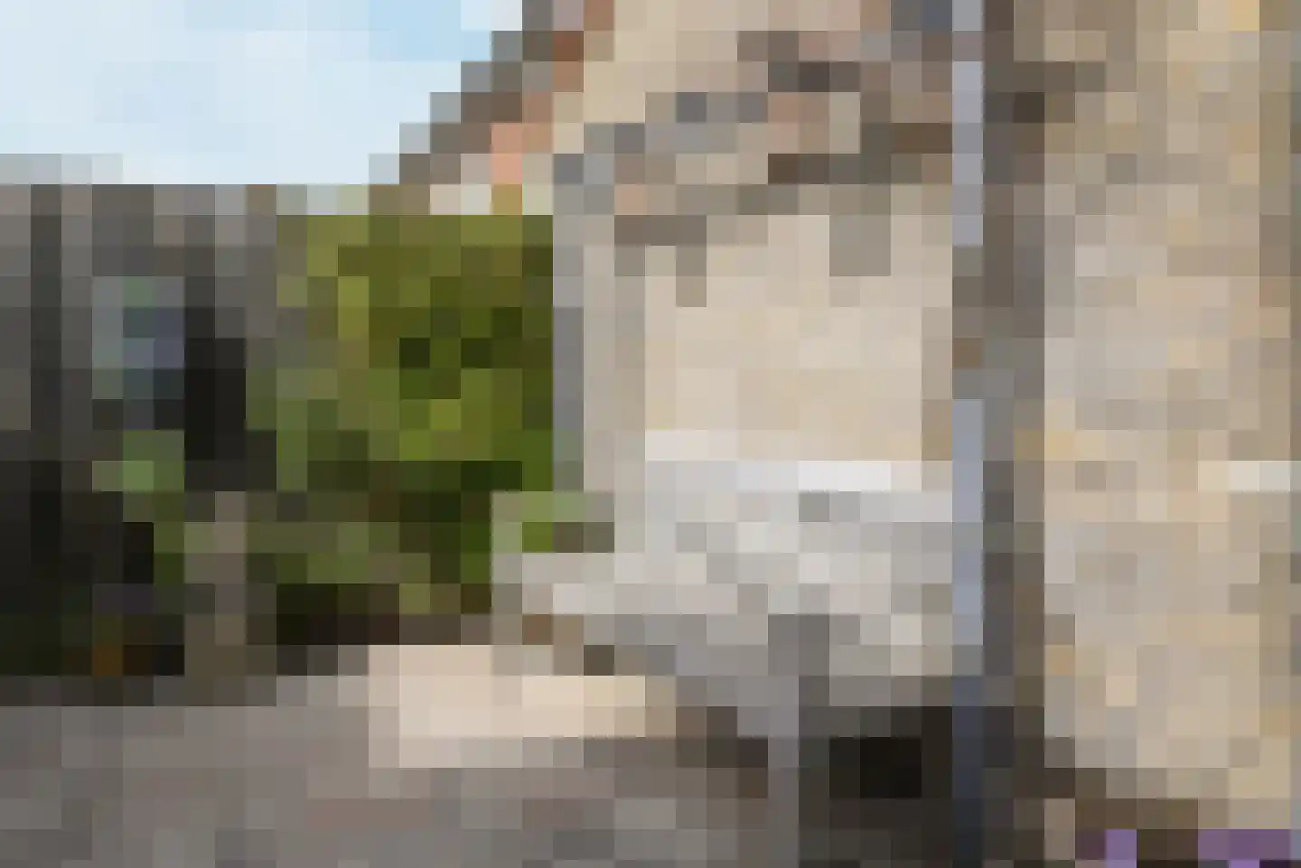 Randweg 145 Bussum thumbnail 25