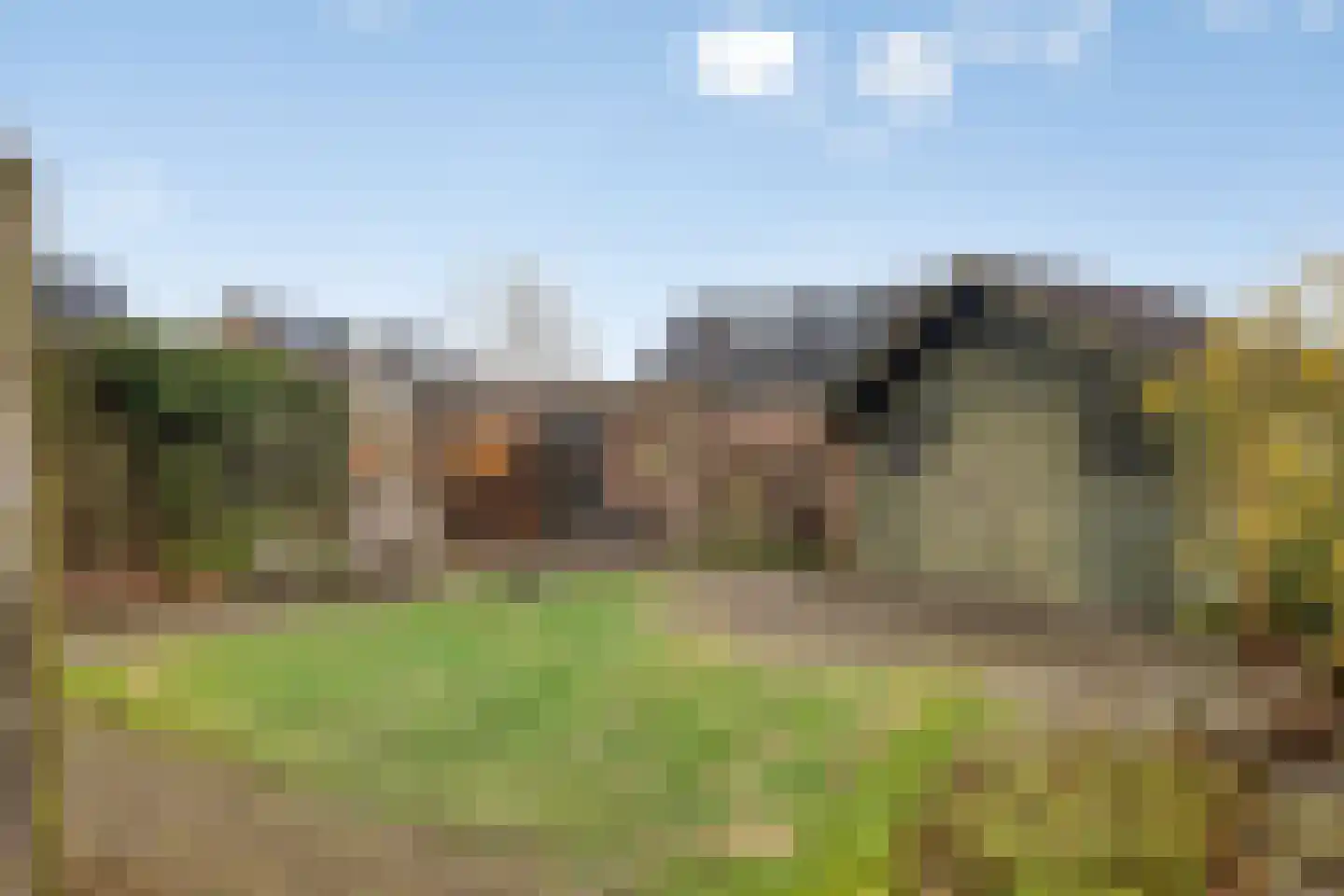 Randweg 146 Meppel thumbnail 35