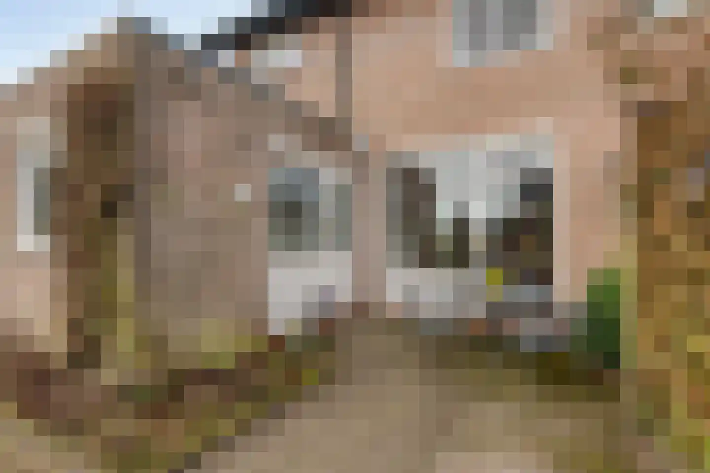 Randweg 146 Meppel thumbnail 37