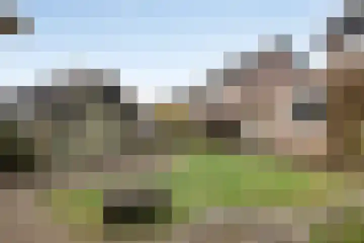 Randweg 146 Meppel thumbnail 40