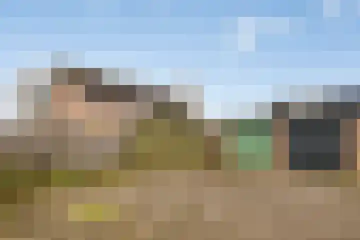 Randweg 146 Meppel thumbnail 42