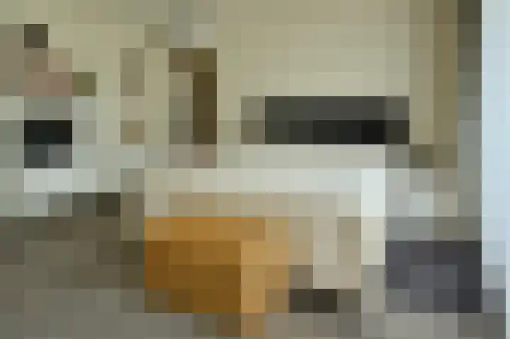 Randweg 15 Deurne thumbnail 13