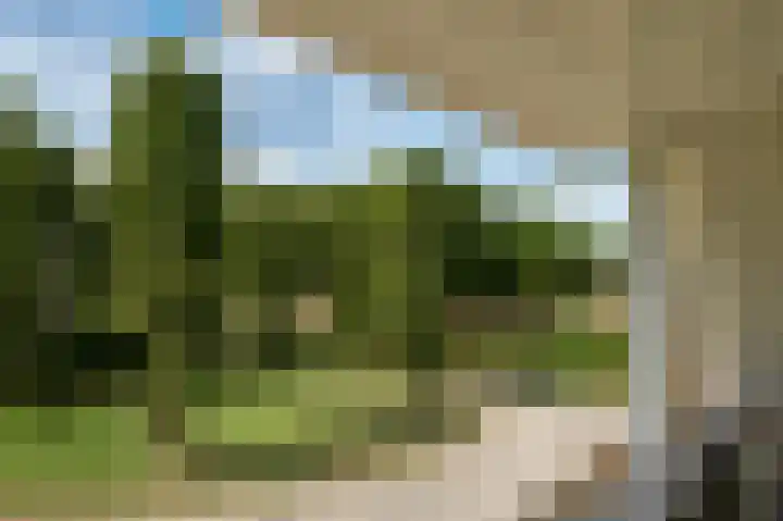 Randweg 15 Deurne thumbnail 29