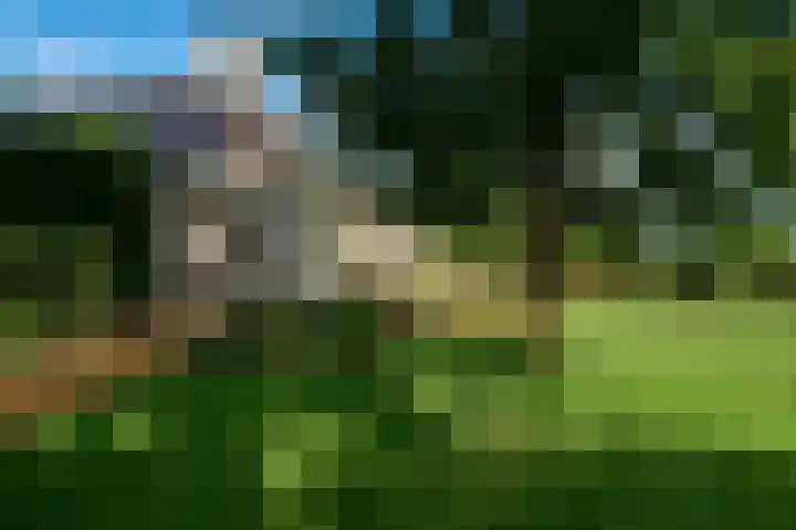 Randweg 15 Deurne thumbnail 31