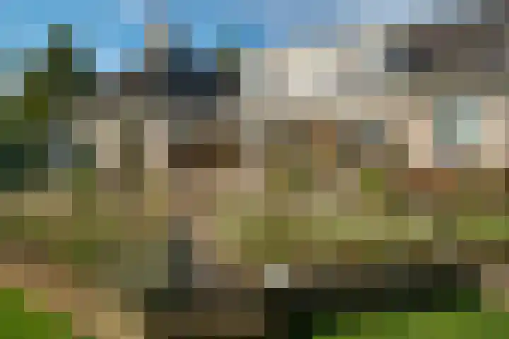 Randweg 15 Deurne thumbnail 32
