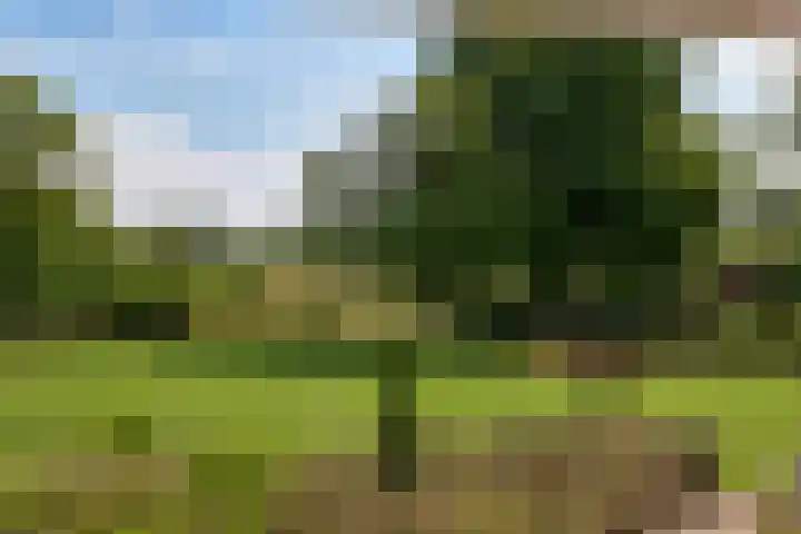 Randweg 15 Deurne thumbnail 33
