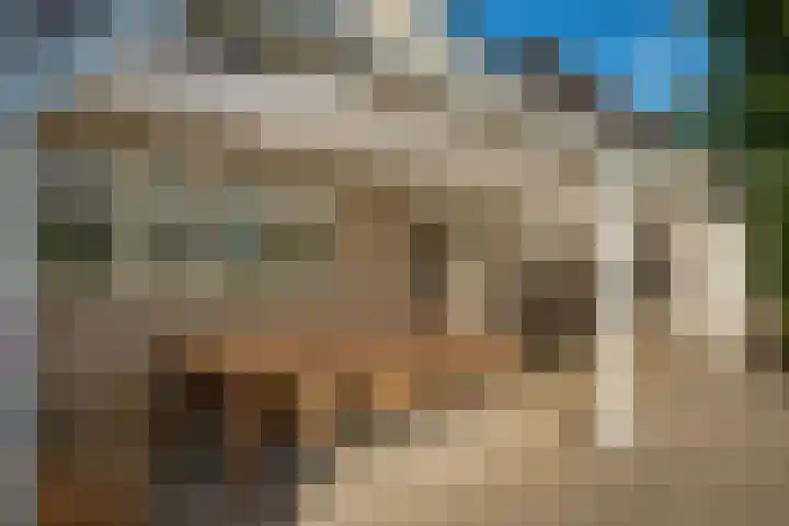 Randweg 15 Deurne thumbnail 34