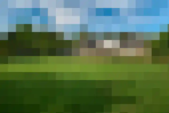 Randweg 15 Deurne thumbnail 37