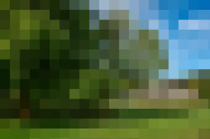 Randweg 15 Deurne thumbnail 38