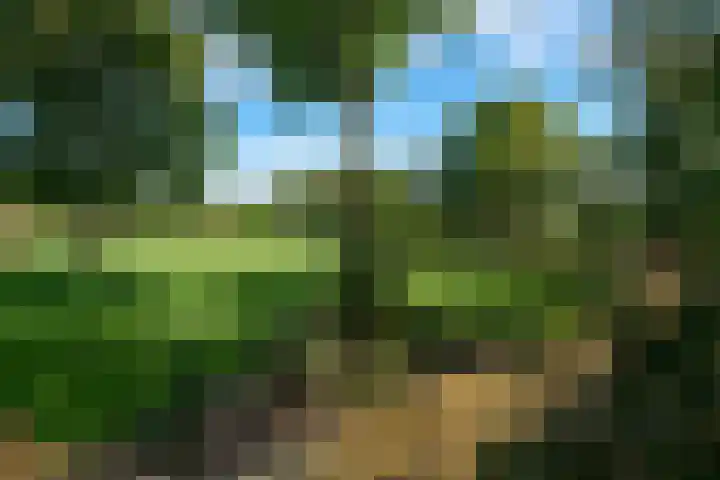 Randweg 15 Deurne thumbnail 39
