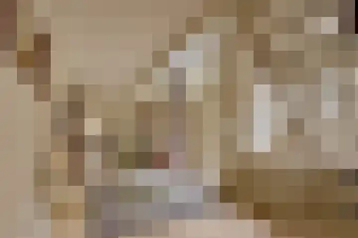 Randweg 15 Deurne thumbnail 4
