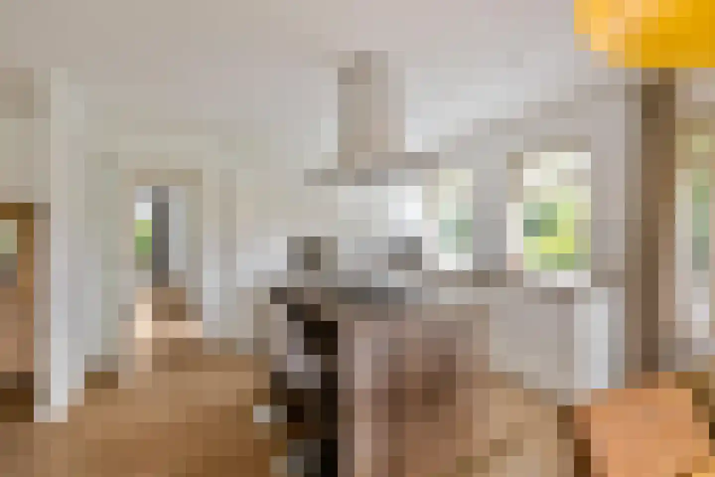 Randweg 16 Schipborg thumbnail 25