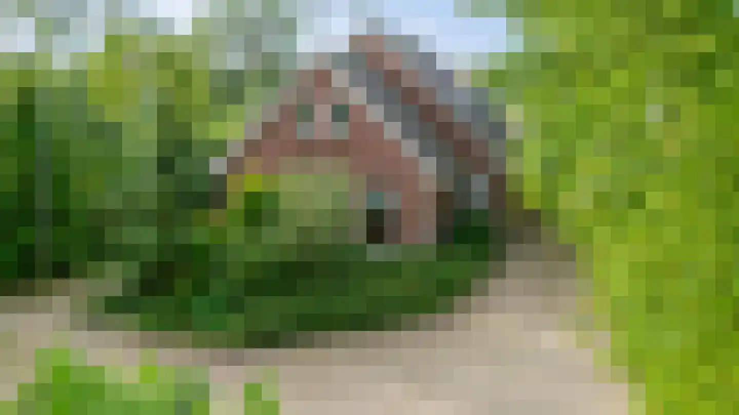 Randweg 16 Schipborg thumbnail 4