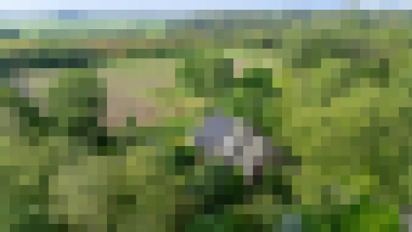 Randweg 16 Schipborg thumbnail 5