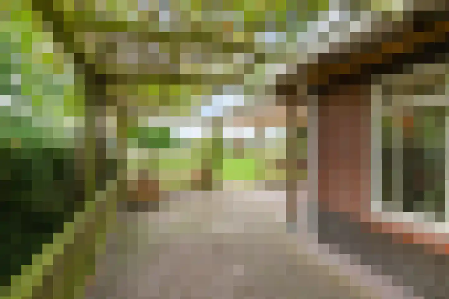 Randweg 16 Schipborg thumbnail 52